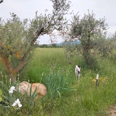 Agriturismo Podere San Giovanni Giuncarico
