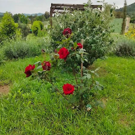 Apartment Agriturismo Podere San Giovanni